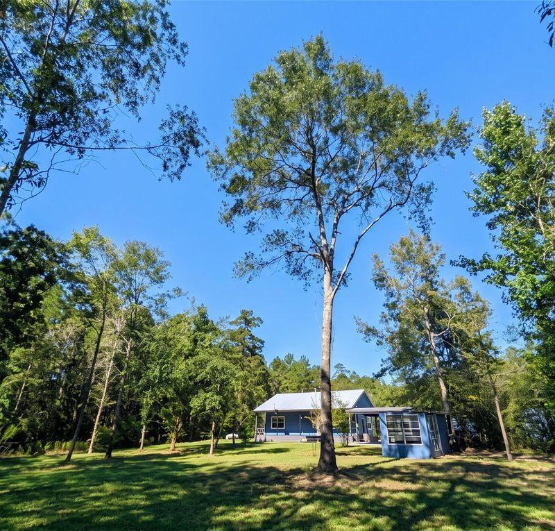 Rear Elevation & Expansive Grounds