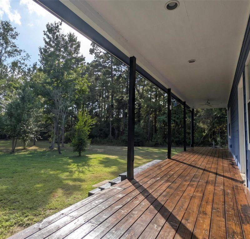 Established Fruit Trees & Landscaped Grounds